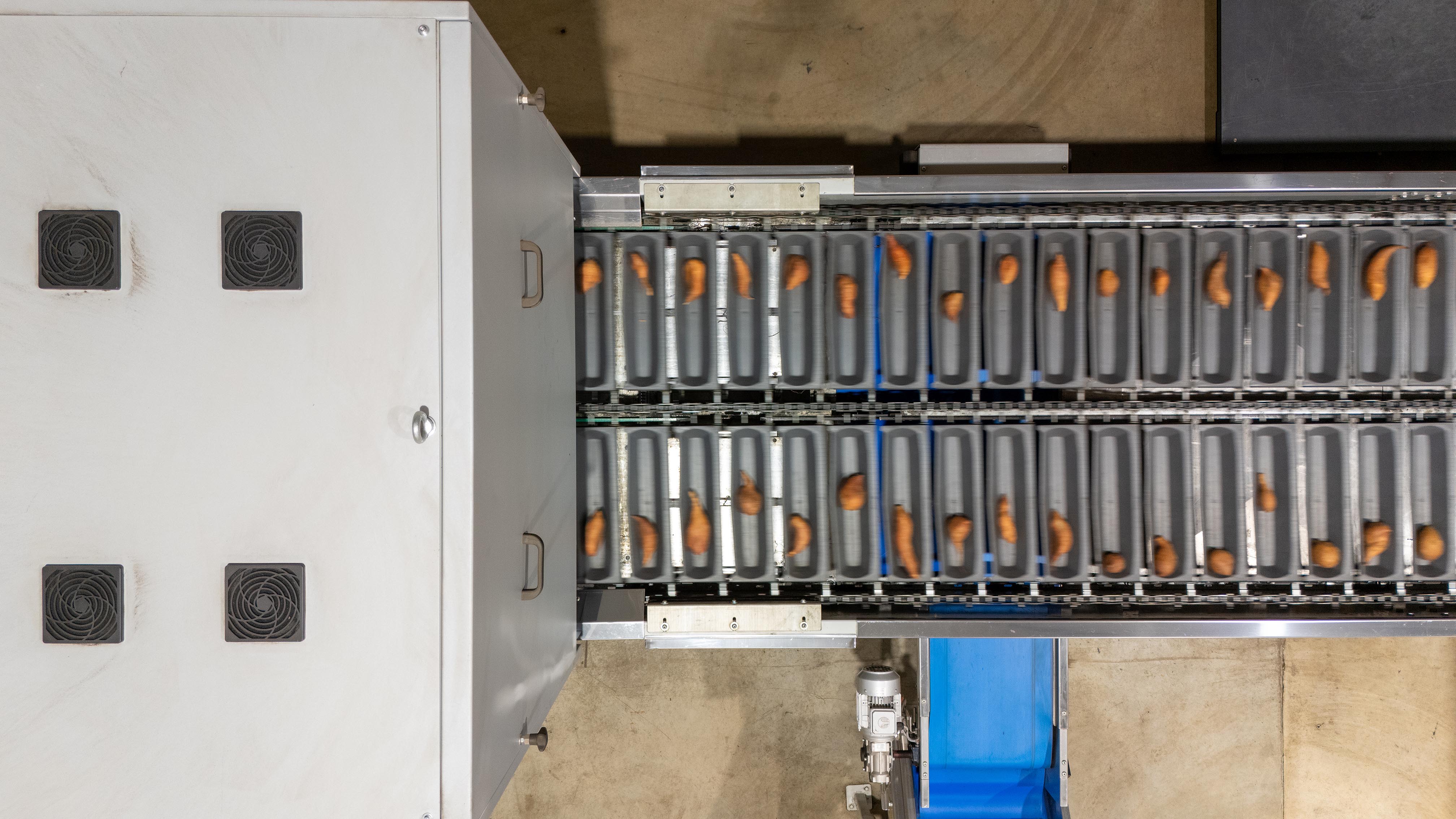 Storing, grading and dispatch